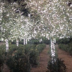 Meet your Posher, Isamari